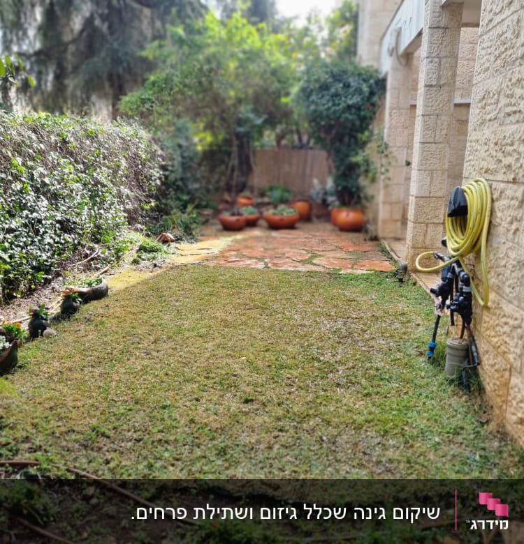 צינור מים מגולגל ליד דשא ועציצים